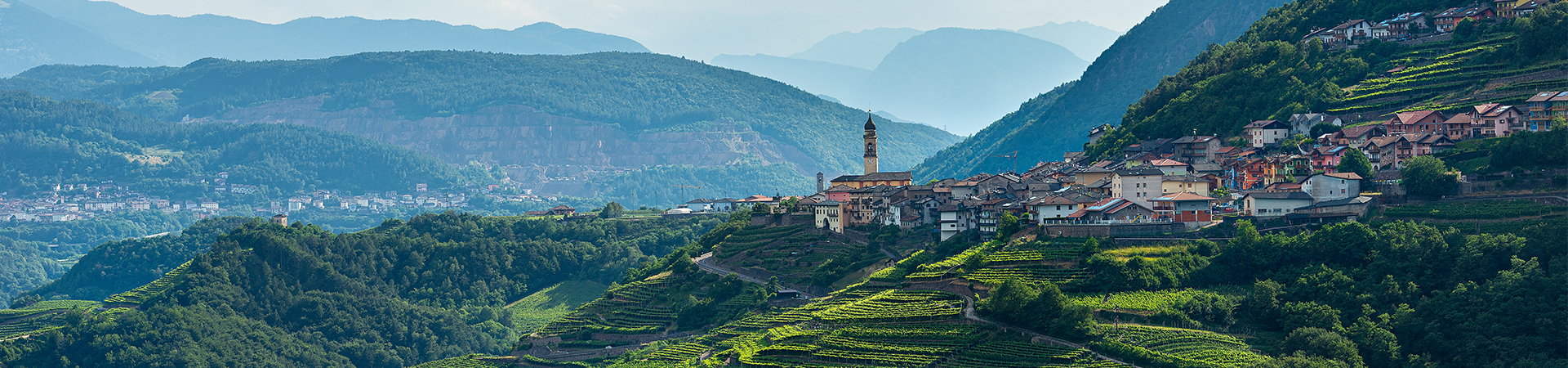 טרנטינו-אלטו אדיג'ה -  Trentino-Alto Adige