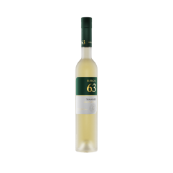 ראקיה בורגס 63 טראמינר