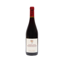 קוטו דה בורגיניון דומיין דאמפט