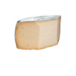 גבינת עזים הולנדית