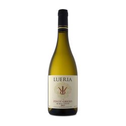 Lueria Winery Pinot Grigio