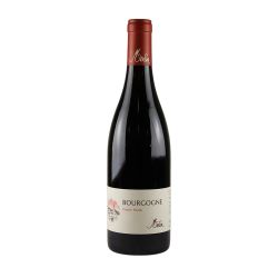 Merlin Bourgogne Pinot Noir - מרלן בורגון פינו נואר