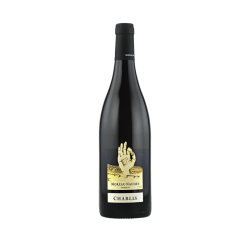 שאבלי מורו נודט