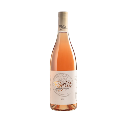 רוגלית רוזה