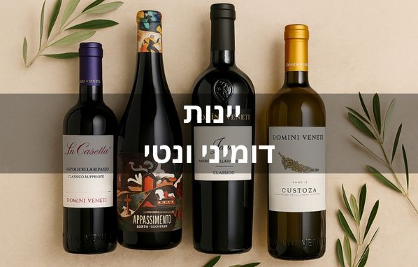 דומיני ונטי